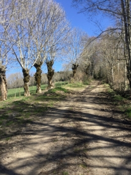 IMG_1736.jpeg