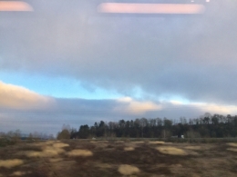 IMG_1584.jpeg