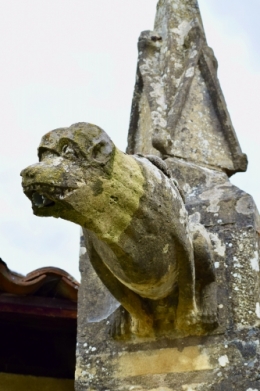 DSC_0050.JPG