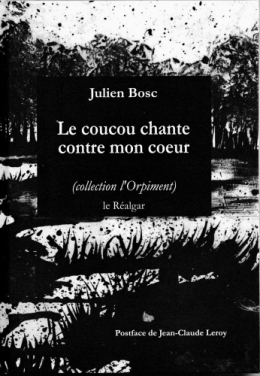 Julien Bosc.jpeg