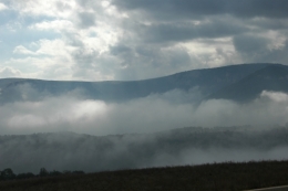 DSC_0064.jpg