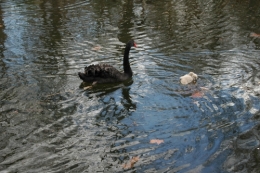 DSC_0122.JPG
