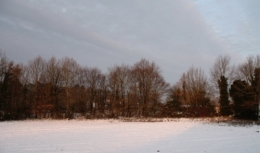 IMG_0001.jpg