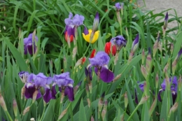 DSC_0166.JPG