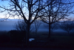 DSC_0037.JPG