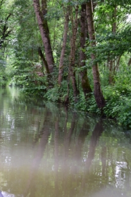 DSC_0032.jpg