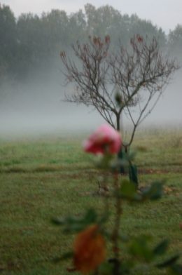 DSC_0068.jpeg