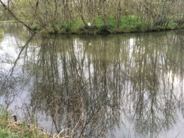 IMG_0346.jpeg
