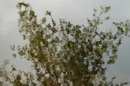 DSC_0016.jpg