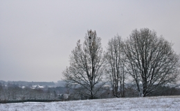 DSC_0016.jpg