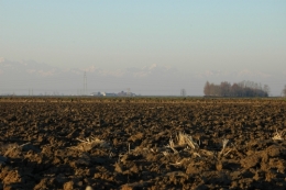 DSC_0052.jpeg