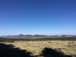 IMG_1746.jpeg