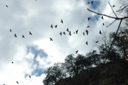 DSC_0044.jpeg