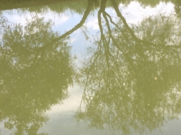 IMG_0699.jpeg