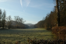 DSC_0015.jpg