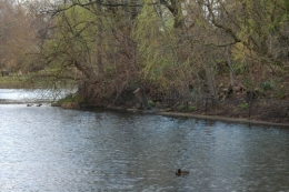 DSC_0123.jpg
