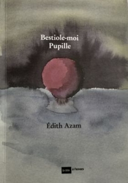 bestiole-moi-pupille-d-edith-azam-1598593390.jpg