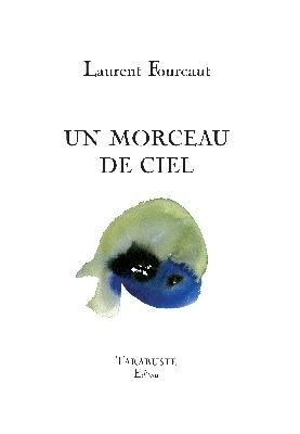 Laurent Fourcaut, Un morceau de ciel : recension : litteraturedepartout
