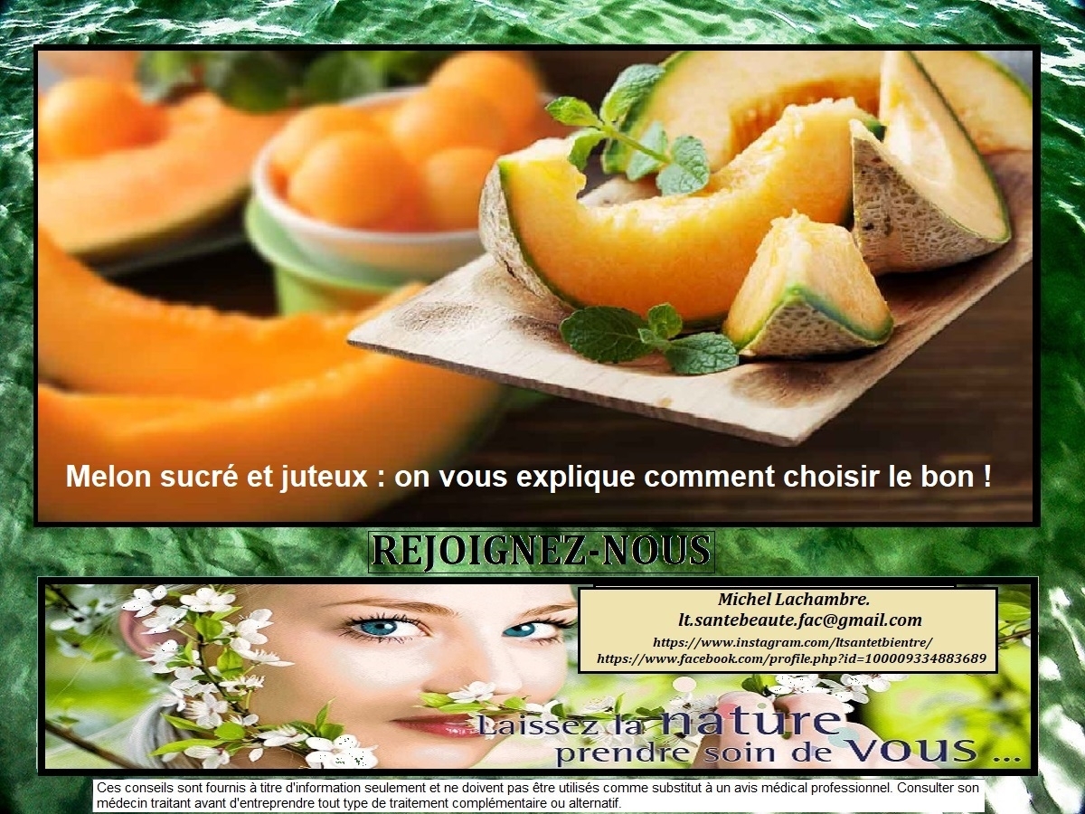 Melon sucré et juteux on vous explique comment choisir le bon ! LTactiviteVDI