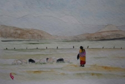 Bolivie, Cordillère des Andes
