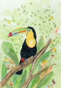 Pérou
