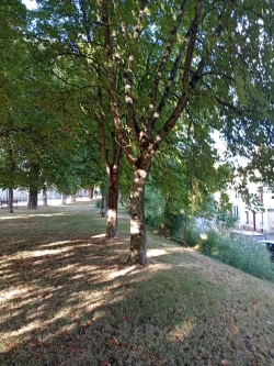 Bd du Nord,