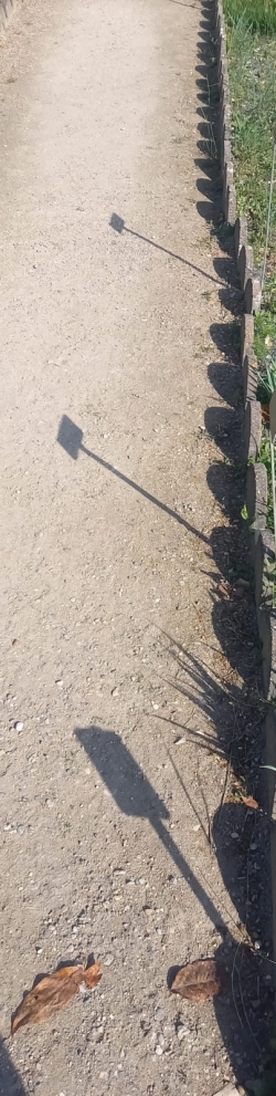 les ombres Ma.