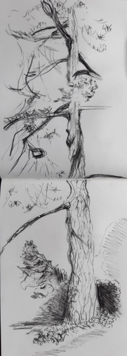 les ombres Mu.