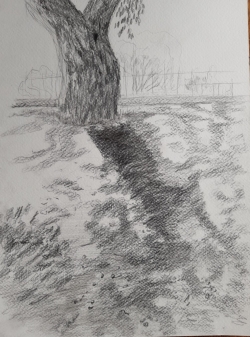 les ombres Ma.