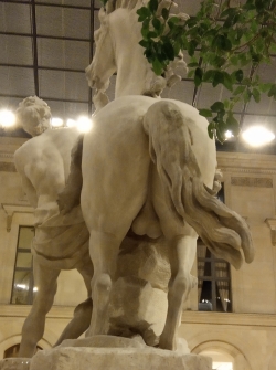 Louvre Les Contrastes