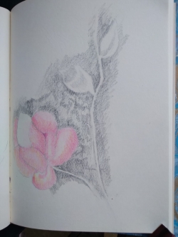 21-03-2025 A.