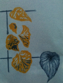 dessiner sur papier gris, plante enroulée
