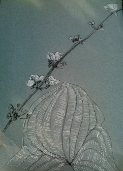 dessiner sur papier gris, fleur blanche