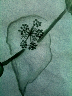 dessiner sur papier gris, plante enroulée