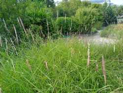 le jardin botanique