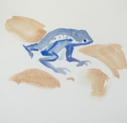 Muriel grenouille bleu 1 - 33.jpg