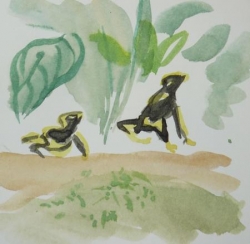 Muriel grenouille noire et jaune feuilles - 24.jpg
