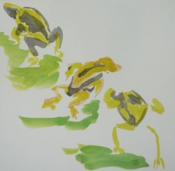 Muriel grenouille noire et jaune 3- 29.jpg