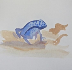 Muriel grenouille bleu 1 - 34.jpg