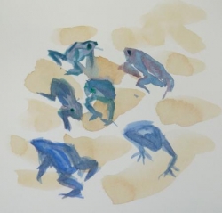 Muriel grenouille bleu 6- 32.jpg