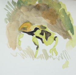 Muriel grenouille noire et jaune 1 - 28.jpg