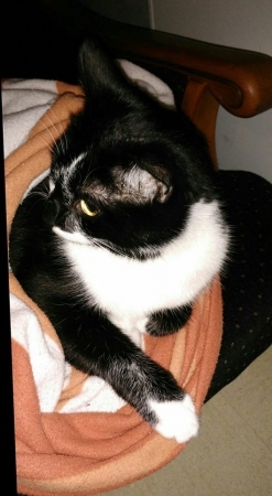 LE BEAU JOSEPH