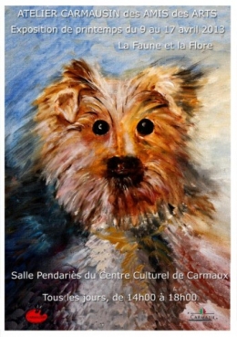 Affiche expo printemps 2013RVB copie.jpg