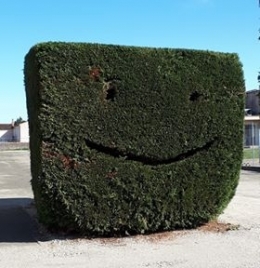 Smiley.jpg