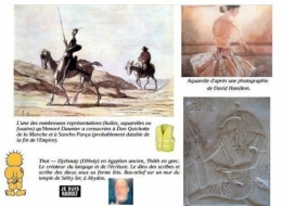 image du blog le quichotte.jpg