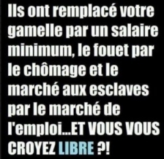 vous-vous-croyez-libre-300x292.jpg