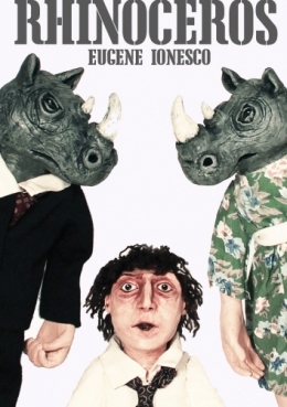 rhino parmi les.jpg