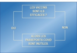 Raisonnement-dans les 2 cas la conclusion est la même.jpg