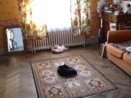 jeudedamesdébut2012.JPG