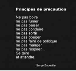 pomesaffiches8PrincipedePrécaution.jpg